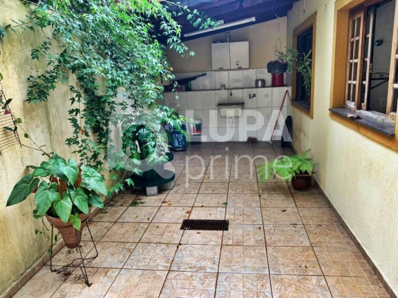 Imagem Casa com 7 Quartos à Venda, 520 m² em Vila Maria Alta - São Paulo Imagem Casa com 7 Quartos à Venda, 520 m² em Vila Maria Alta - São Paulo