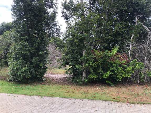 Imagem Terreno à Venda, 700 m² em Praia Do Forte - Mata De São João