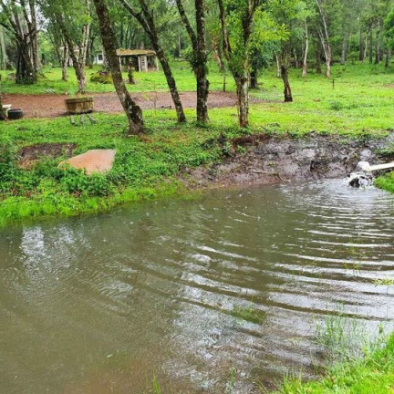Imagem Imóvel com 3 Quartos à Venda, em Tijucas Do Sul - Tijucas Do Sul Imagem Imóvel com 3 Quartos à Venda, em Tijucas Do Sul - Tijucas Do Sul