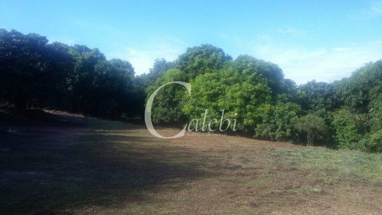 Imagem Chácara com 5 Quartos à Venda, 2 m² em Pederneiras - Moji Mirim Imagem Chácara com 5 Quartos à Venda, 2 m² em Pederneiras - Moji Mirim