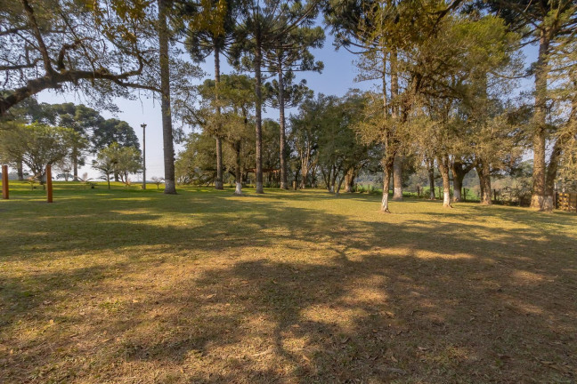 Imagem Imóvel com 4 Quartos à Venda, 37.906 m² em Ouro Verde - Campo Largo Imagem Imóvel com 4 Quartos à Venda, 37.906 m² em Ouro Verde - Campo Largo