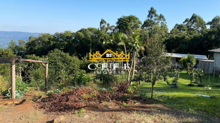 Imagem Sala Comercial à Venda, 20 m² em Zona Rural - Três Coroas Imagem Sala Comercial à Venda, 20 m² em Zona Rural - Três Coroas