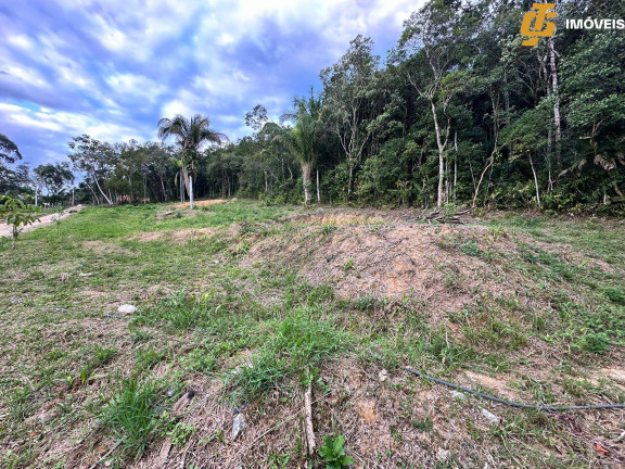 Imagem Terreno à Venda, 1.950 m² em Rio Do Meio - Camboriú Imagem Terreno à Venda, 1.950 m² em Rio Do Meio - Camboriú