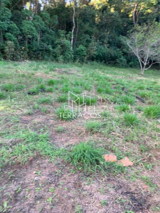 Imagem Imóvel com 2 Quartos à Venda, 3.205 m² em Portão - Atibaia Imagem Imóvel com 2 Quartos à Venda, 3.205 m² em Portão - Atibaia