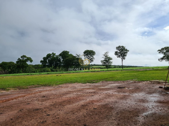 Imagem Imóvel com 7 Quartos à Venda, 1.822 m² em Zona Rural - Primavera Do Leste Imagem Imóvel com 7 Quartos à Venda, 1.822 m² em Zona Rural - Primavera Do Leste