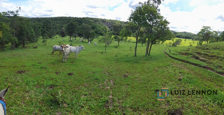 Imagem Imóvel com 3 Quartos à Venda, 820.000 m² em Centro - Varjão De Minas Imagem Imóvel com 3 Quartos à Venda, 820.000 m² em Centro - Varjão De Minas