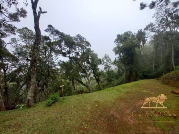 Imagem Terreno em Condomínio à Venda, 1.000 m² em Alto Boa Vista - Campos Do Jordão Imagem Terreno em Condomínio à Venda, 1.000 m² em Alto Boa Vista - Campos Do Jordão