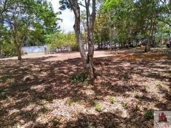 Imagem Terreno à Venda, 50.000 m² em Aldeia Dos Camarás - Camaragibe Imagem Terreno à Venda, 50.000 m² em Aldeia Dos Camarás - Camaragibe