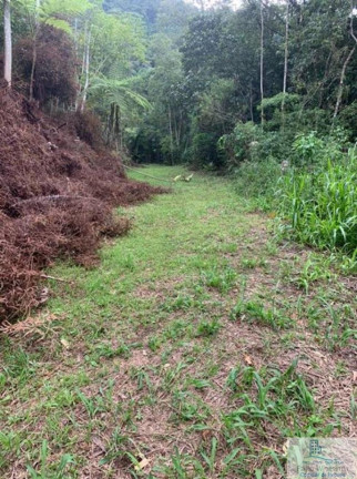 Imagem Chácara à Venda, 126.000 m² em Centro (rio Rosinha) - Rio Dos Cedros