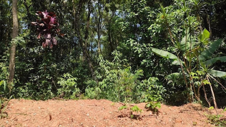 Imagem Terreno à Venda, 2.000 m² em Jardim Estância Brasil - Atibaia Imagem Terreno à Venda, 2.000 m² em Jardim Estância Brasil - Atibaia