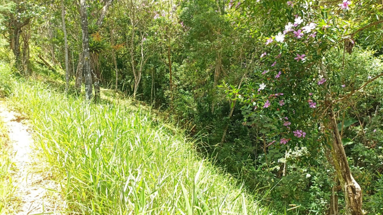 Imagem Chácara com 3 Quartos à Venda, 500 m² em Centro - Paraibuna