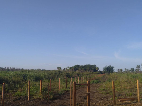 Imagem Fazenda à Venda, 2.050 m² em Rural - Rio Verde De Mato Grosso