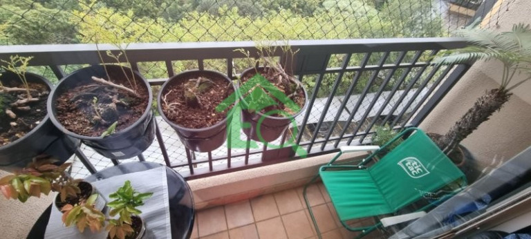 Apartamento com 3 Quartos à Venda, 64 m² em Vila Sofia - São Paulo