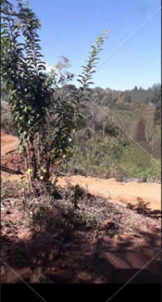 Imagem Imóvel à Venda, 3.000 m² em Jardim Da Colina - Campina Grande Do Sul Imagem Imóvel à Venda, 3.000 m² em Jardim Da Colina - Campina Grande Do Sul