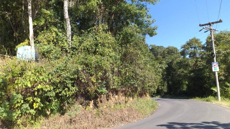 Imagem Terreno à Venda, 4.000 m² em Almada - Ubatuba Imagem Terreno à Venda, 4.000 m² em Almada - Ubatuba