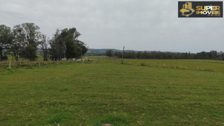 Imagem Imóvel com 3 Quartos à Venda, 660.000 m² em Zona Rural - Capão Do Leão