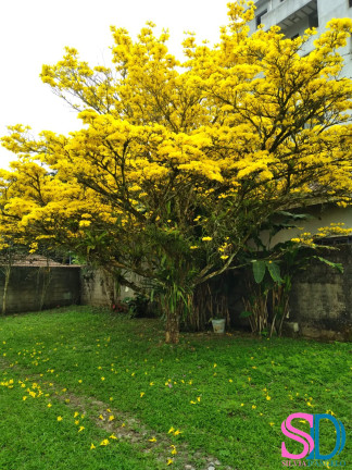 Imagem Casa com 2 Quartos à Venda, 500 m² em Centro - Ubatuba