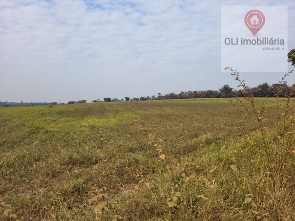 Imagem Imóvel à Venda, 323.000 m² em Varejão - Itu