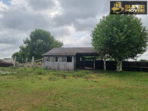 Imagem Imóvel com 2 Quartos à Venda, 14.700.000 m² em Quinta - Rio Grande