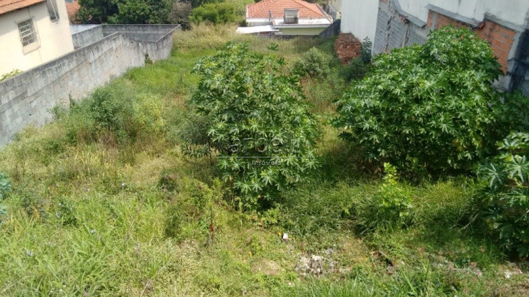 Imagem Terreno à Venda, 600 m² em Vila Pereira Barreto - São Paulo