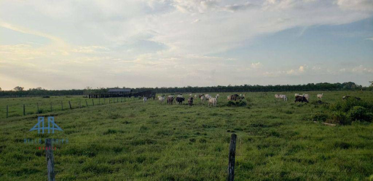 Imagem Fazenda à Venda, 2.190.000 m² em Alça Viaria - Acará Imagem Fazenda à Venda, 2.190.000 m² em Alça Viaria - Acará