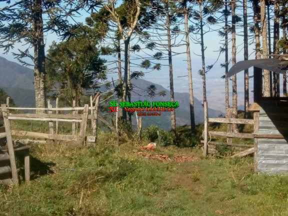 Imagem Chácara à Venda, 11 m² em Centro - Piquete Imagem Chácara à Venda, 11 m² em Centro - Piquete