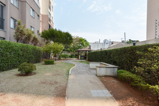Imagem Apartamento com 2 Quartos à Venda, 46 m² em Chácara Califórnia - São Paulo Imagem Apartamento com 2 Quartos à Venda, 46 m² em Chácara Califórnia - São Paulo