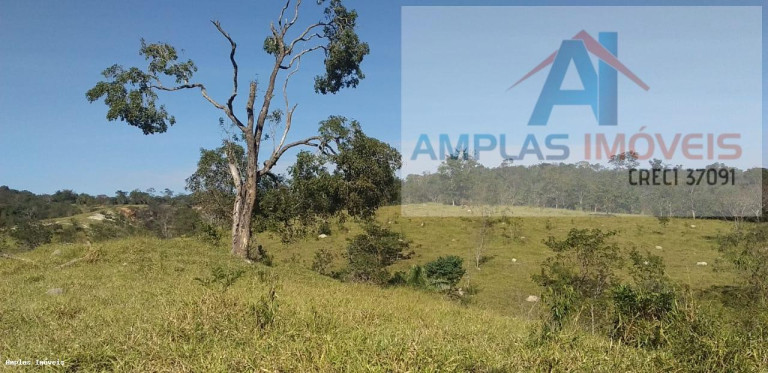 Imagem Fazenda à Venda, 64 m² em Fortuna De Minas