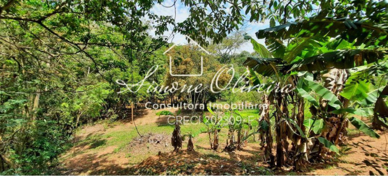 Imagem Chácara com 4 Quartos à Venda, 27.000 m² em Campinas - Pindamonhangaba Imagem Chácara com 4 Quartos à Venda, 27.000 m² em Campinas - Pindamonhangaba