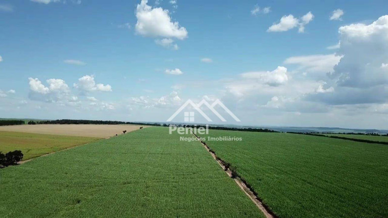 Imagem Fazenda à Venda, 500 m² em Luis Antonio - Luís Antônio Imagem Fazenda à Venda, 500 m² em Luis Antonio - Luís Antônio