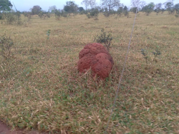 Imagem Fazenda à Venda, 730 m² em Rural - Corguinho