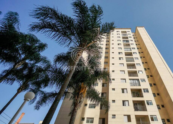 Imagem Apartamento com 2 Quartos à Venda, 50 m² em Mooca - São Paulo