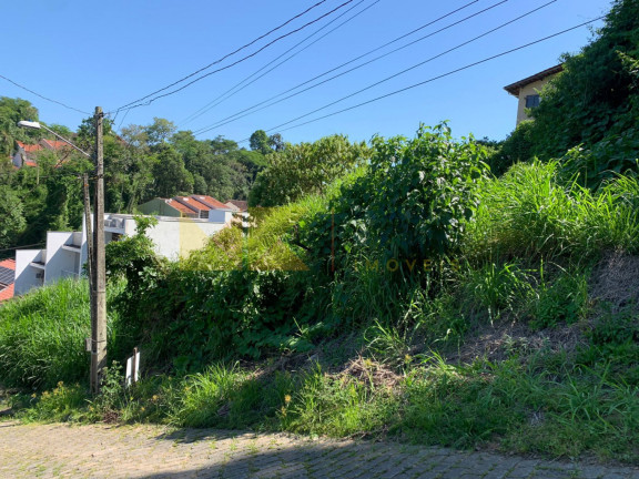 Imagem Imóvel à Venda, 450 m² em Escola Agrícola - Blumenau