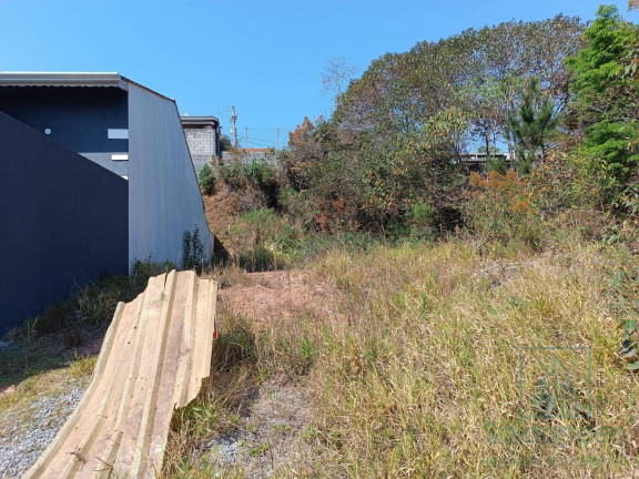 Imagem Terreno à Venda, 250 m² em Corumbá (terra Preta) - Mairiporã Imagem Terreno à Venda, 250 m² em Corumbá (terra Preta) - Mairiporã