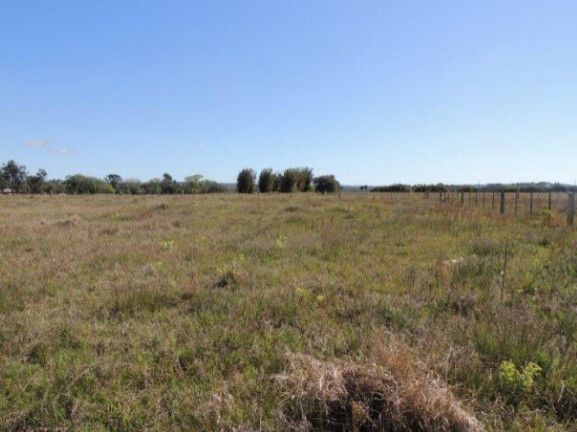 Imagem Terreno à Venda, 1.000 m² em Morro Grande - Viamão Imagem Terreno à Venda, 1.000 m² em Morro Grande - Viamão