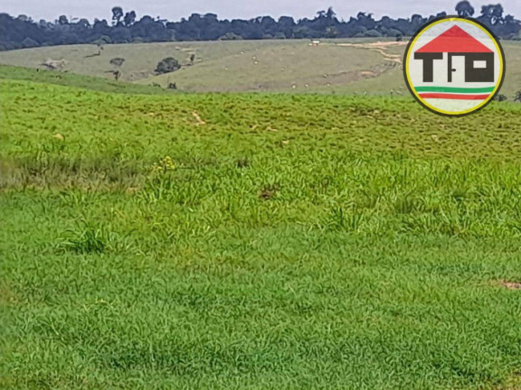 Imagem Fazenda à Venda, 51.304.000 m² em Zona Rural - Itupiranga Imagem Fazenda à Venda, 51.304.000 m² em Zona Rural - Itupiranga