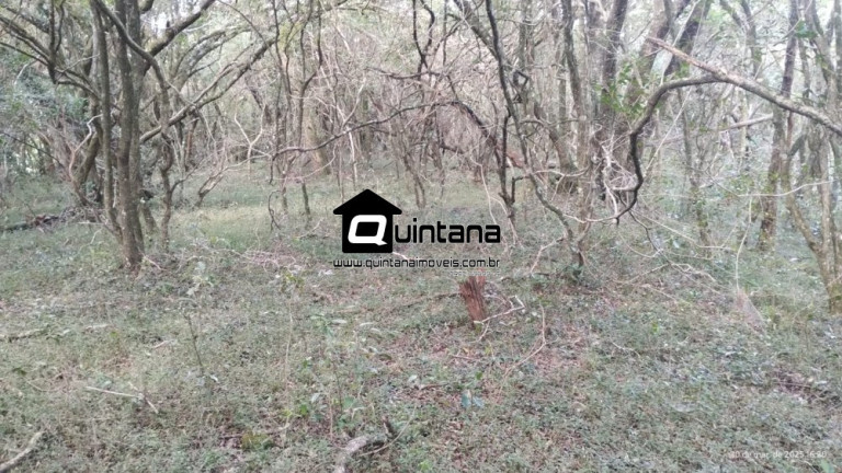 Imagem Imóvel com 2 Quartos à Venda, 700.000 m² em Centro - Herval Imagem Imóvel com 2 Quartos à Venda, 700.000 m² em Centro - Herval