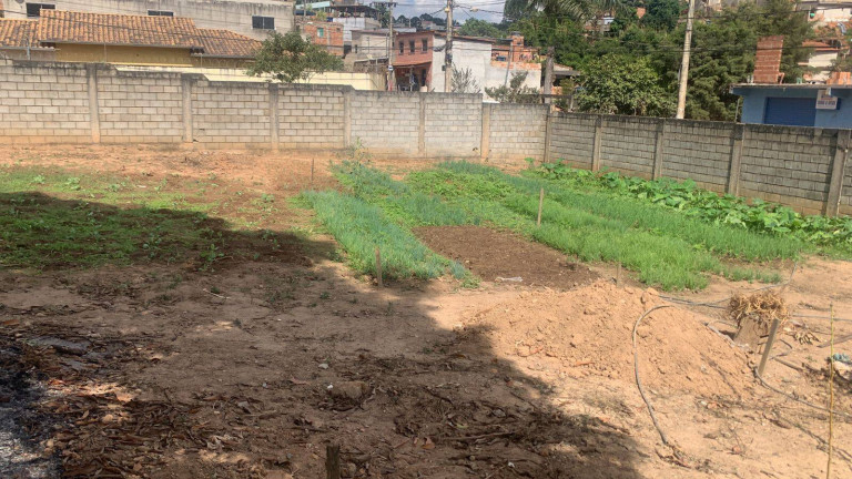 Imagem Terreno à Venda, 250 m² em Verônica - Ribeirão Das Neves