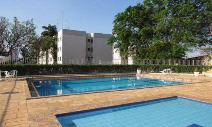 Imagem Apartamento com 2 Quartos à Venda, em Jardim Miranda - Campinas Imagem Apartamento com 2 Quartos à Venda, em Jardim Miranda - Campinas