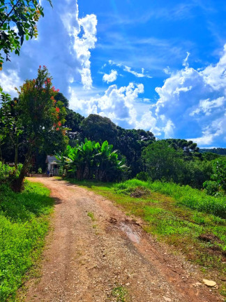 Imagem Chácara com 1 Quarto à Venda, 6.050 m² em Jardim Bela Vista - Balsa Nova