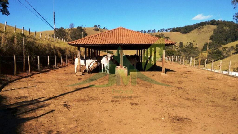 Imagem Fazenda à Venda, 2.420.000 m² em Cambuí - Cambuí Imagem Fazenda à Venda, 2.420.000 m² em Cambuí - Cambuí