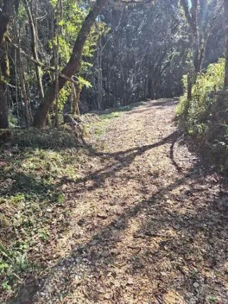 Imagem Imóvel à Venda, 20.000 m² em Santana - Bocaiuva Do Sul Imagem Imóvel à Venda, 20.000 m² em Santana - Bocaiuva Do Sul