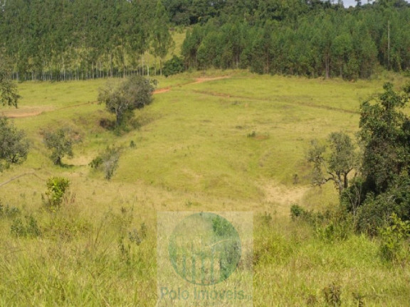 Imagem Imóvel com 3 Quartos à Venda, 302.500 m² em Zona Rural - Jacui