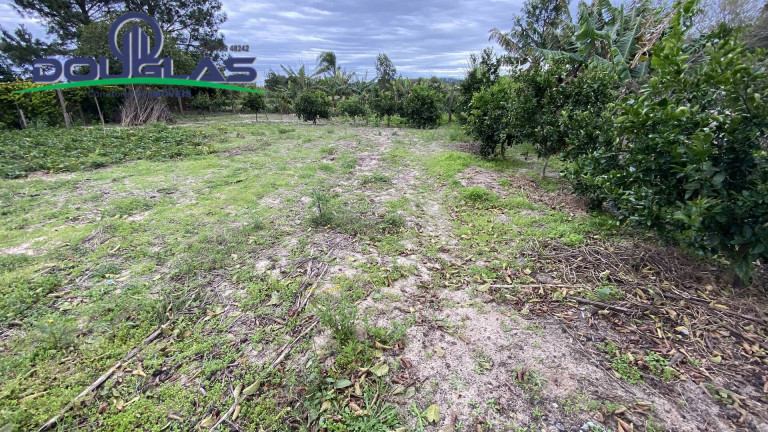Imagem Casa com 3 Quartos à Venda, 1.200 m² em Viamão Imagem Casa com 3 Quartos à Venda, 1.200 m² em Viamão