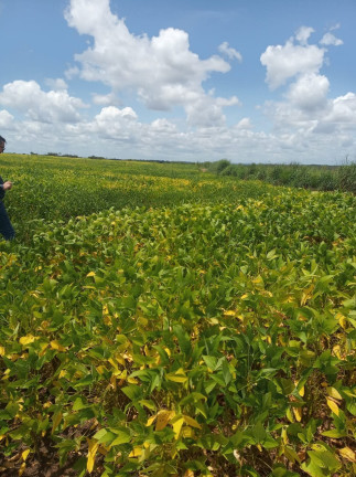 Imagem Imóvel à Venda,  em Colinas Do Tocantins/to - Colinas Do Tocantins