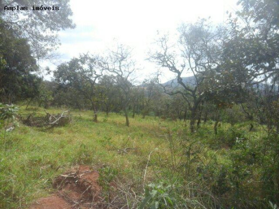 Imagem Terreno à Venda, 4 m² em Duque De Caxias - Mateus Leme Imagem Terreno à Venda, 4 m² em Duque De Caxias - Mateus Leme