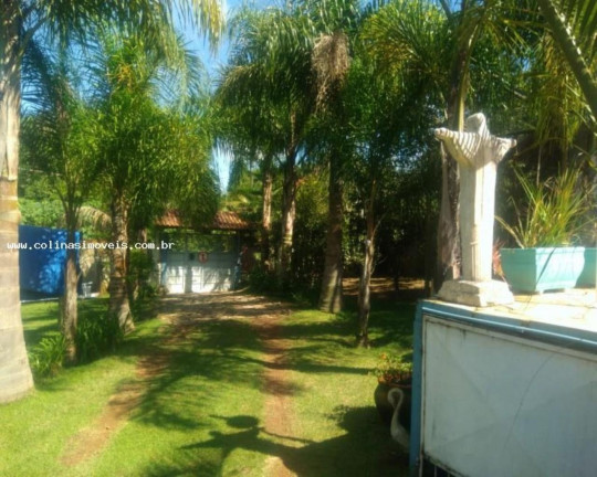 Imagem Imóvel com 3 Quartos à Venda, 1.200 m² em Antes Do Centro - Ibiúna Imagem Imóvel com 3 Quartos à Venda, 1.200 m² em Antes Do Centro - Ibiúna