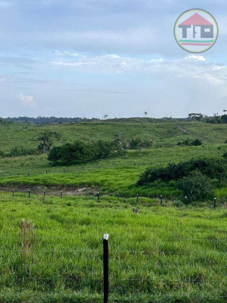 Imagem Fazenda à Venda, 1.210.000 m² em Zona Rural - Nova Ipixuna Imagem Fazenda à Venda, 1.210.000 m² em Zona Rural - Nova Ipixuna