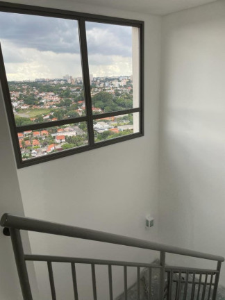 Imagem Imóvel com 3 Quartos à Venda, 266 m² em Butantã - São Paulo Imagem Imóvel com 3 Quartos à Venda, 266 m² em Butantã - São Paulo