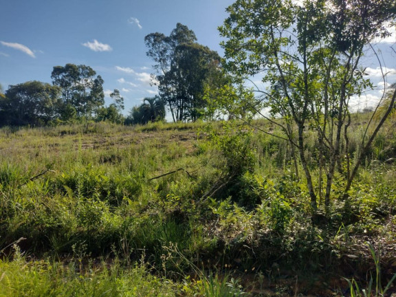 Imagem Terreno à Venda, 20.000 m² em Alto Perequê - Arroio Do Padre